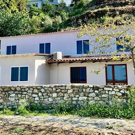 Villa Kate Borsh Bagian luar foto